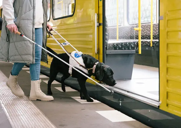 AI agent ethics using this metaphore: A guide dog executes risky tasks with care for humans