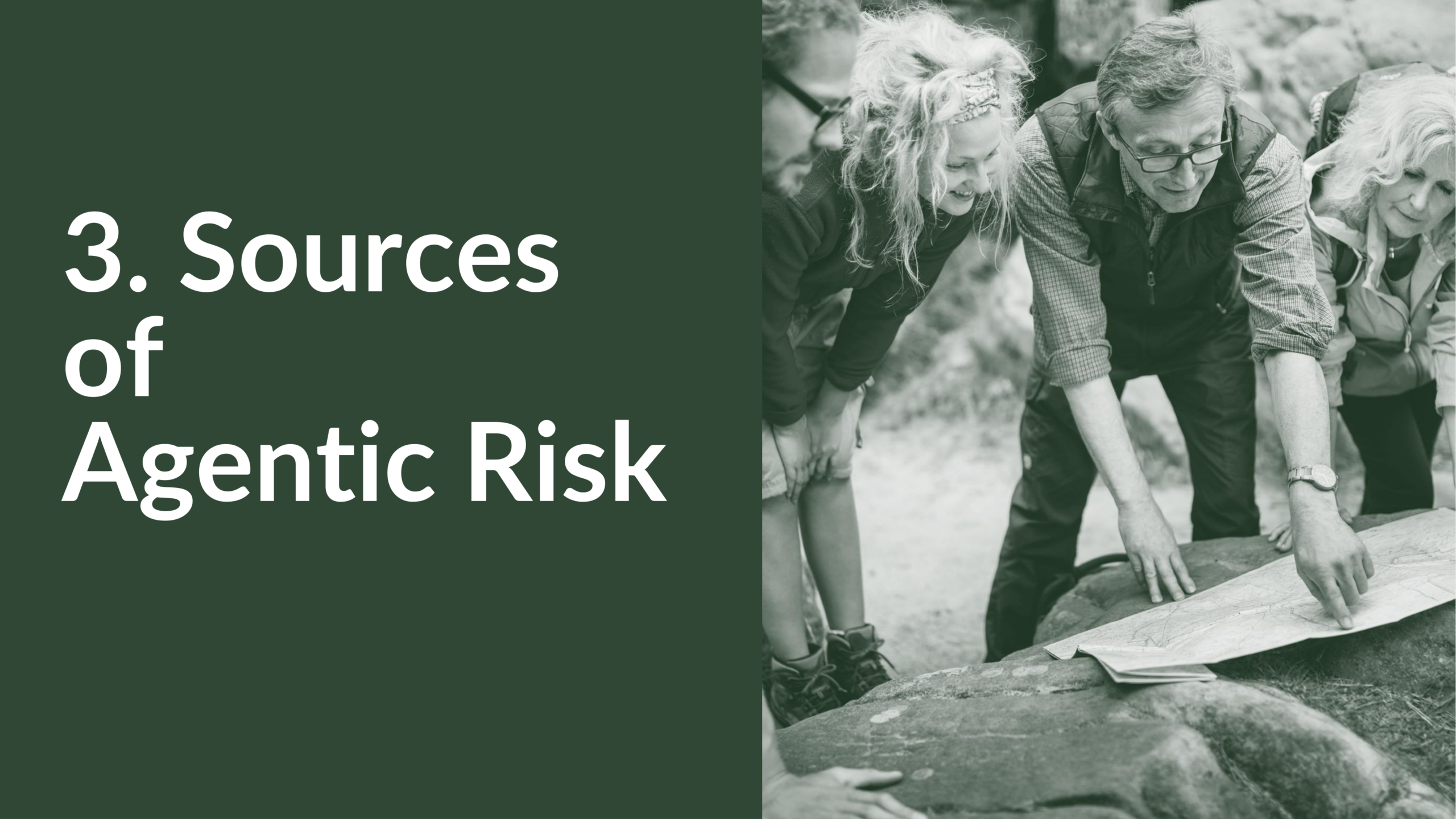 Agentic Risk Appetite and Adoption Strategy-16