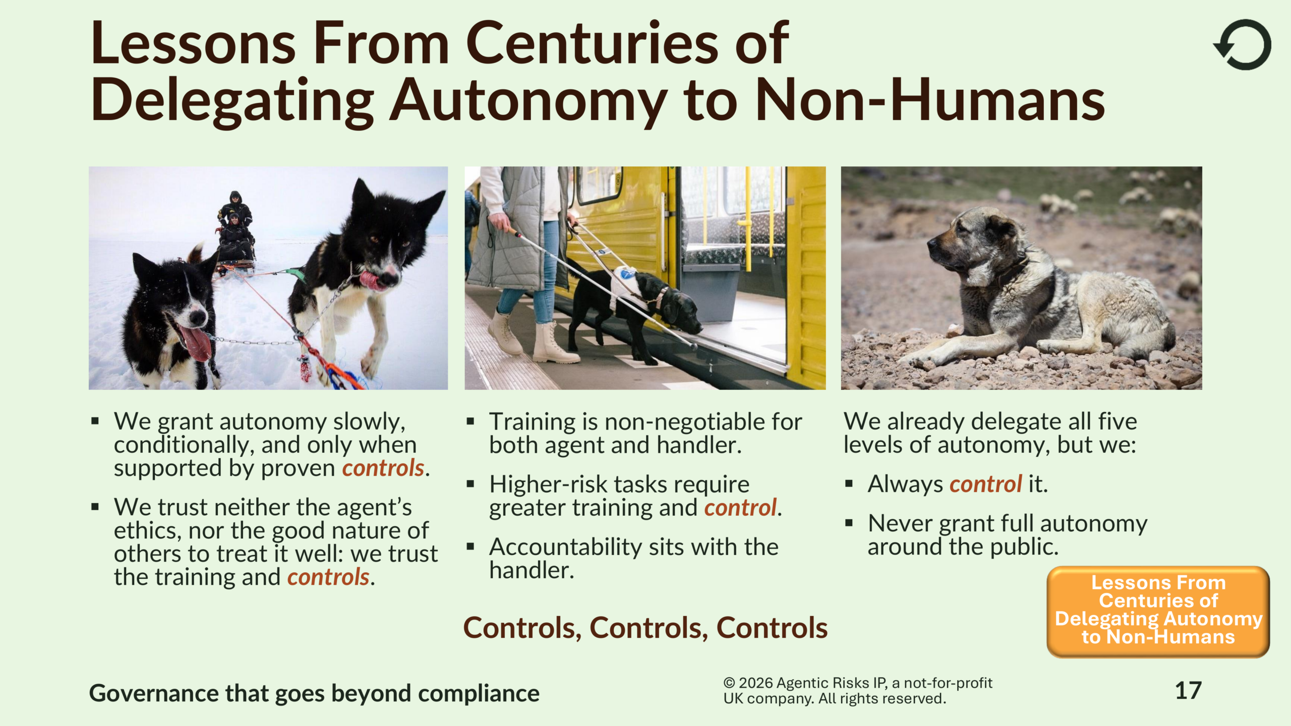 Agentic Risk Appetite and Adoption Strategy-17