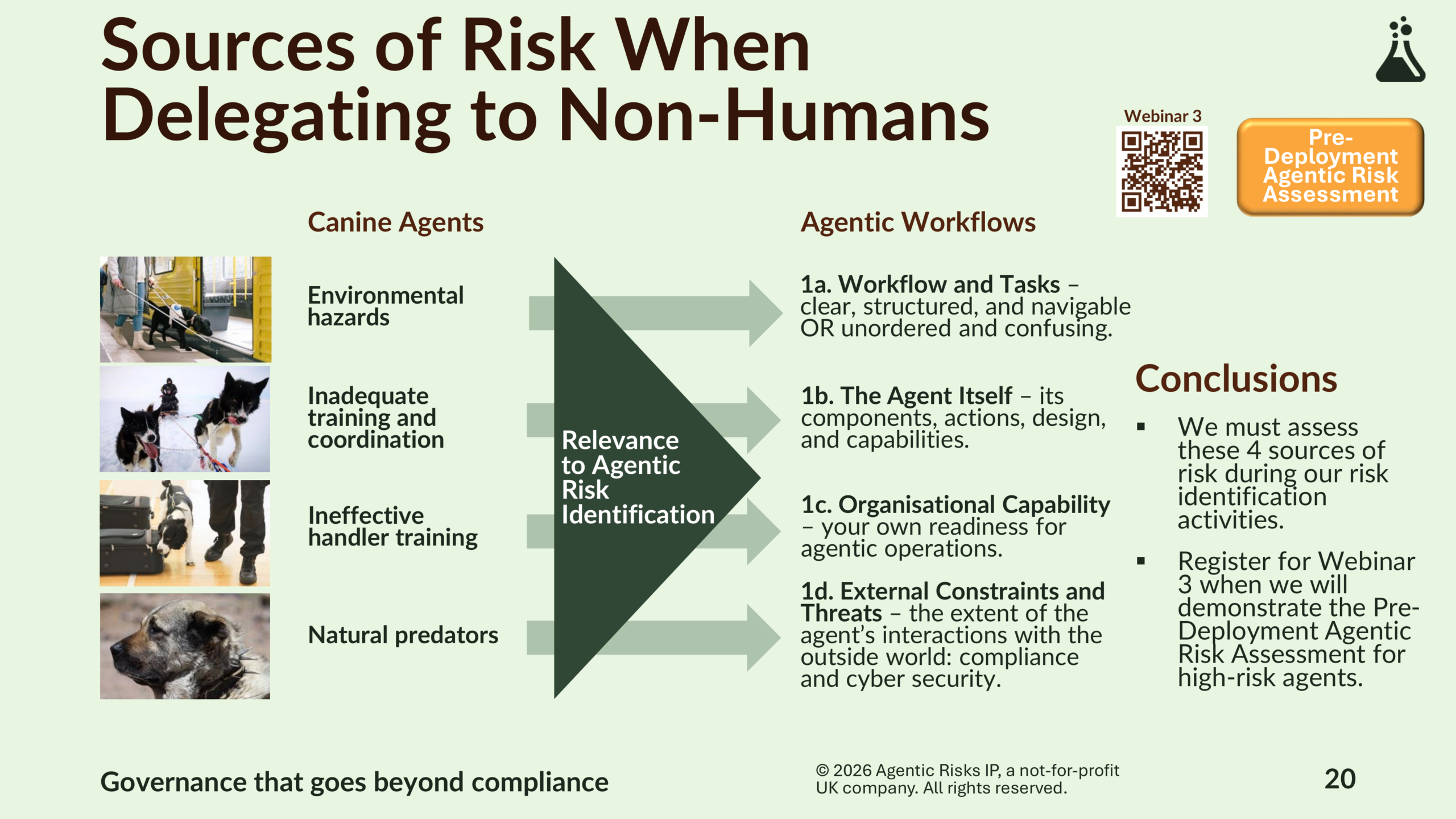 Agentic Risk Appetite and Adoption Strategy-20