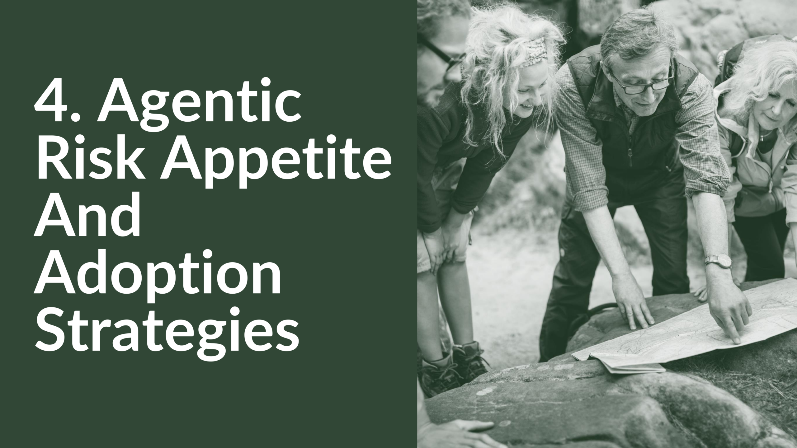 Agentic Risk Appetite and Adoption Strategy-21